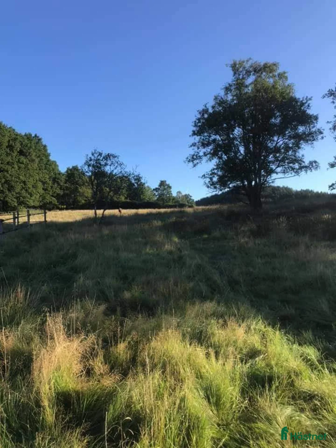  stallplats finnes: Ledig boxplats på fin anläggning i Uddevalla. i Uddevalla - Annons 17