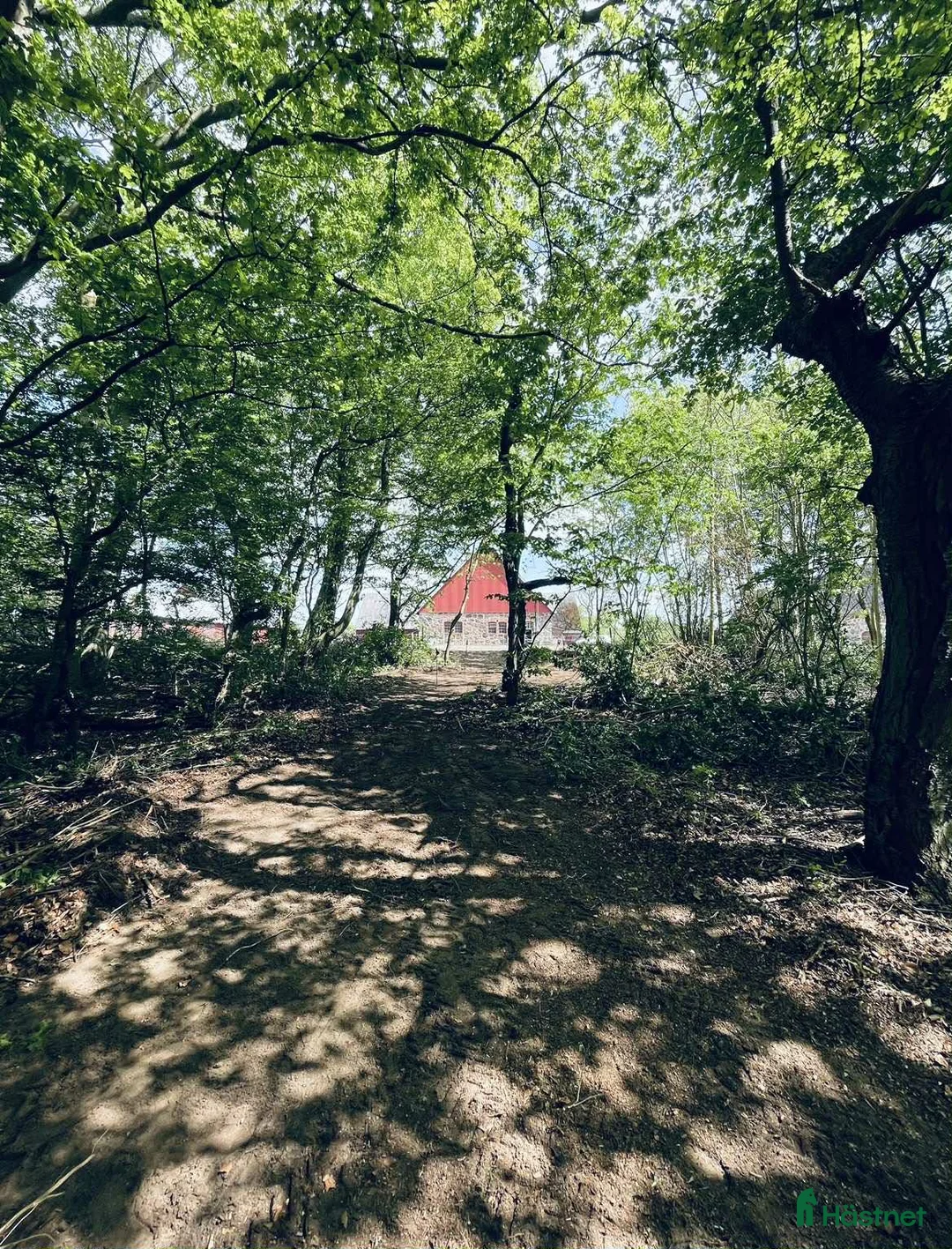  stallplats finnes: Stallplats Långeberga i Helsingborg - Annons 8