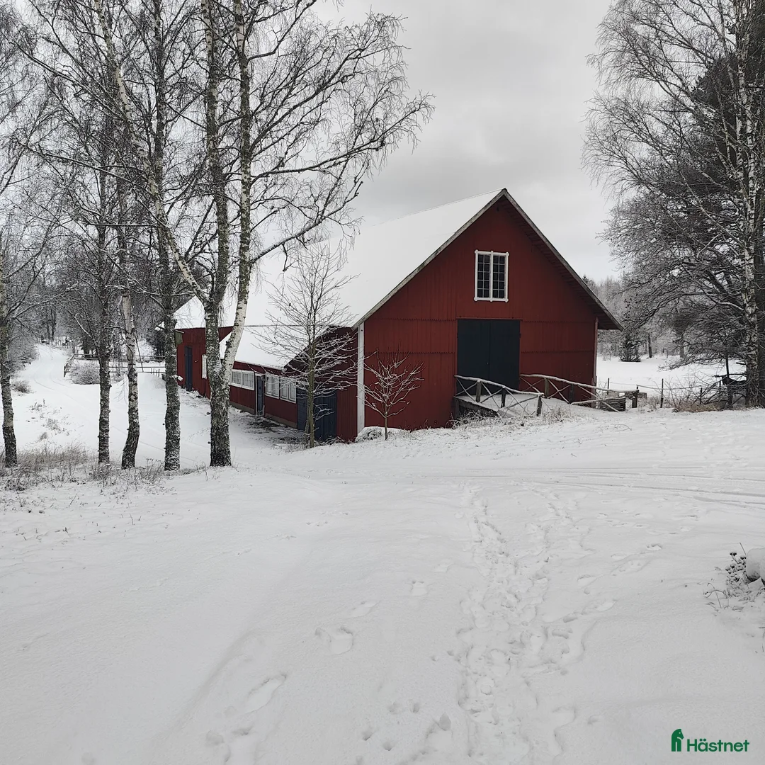  hästservice finnes: Helinackordering  - Annons 1