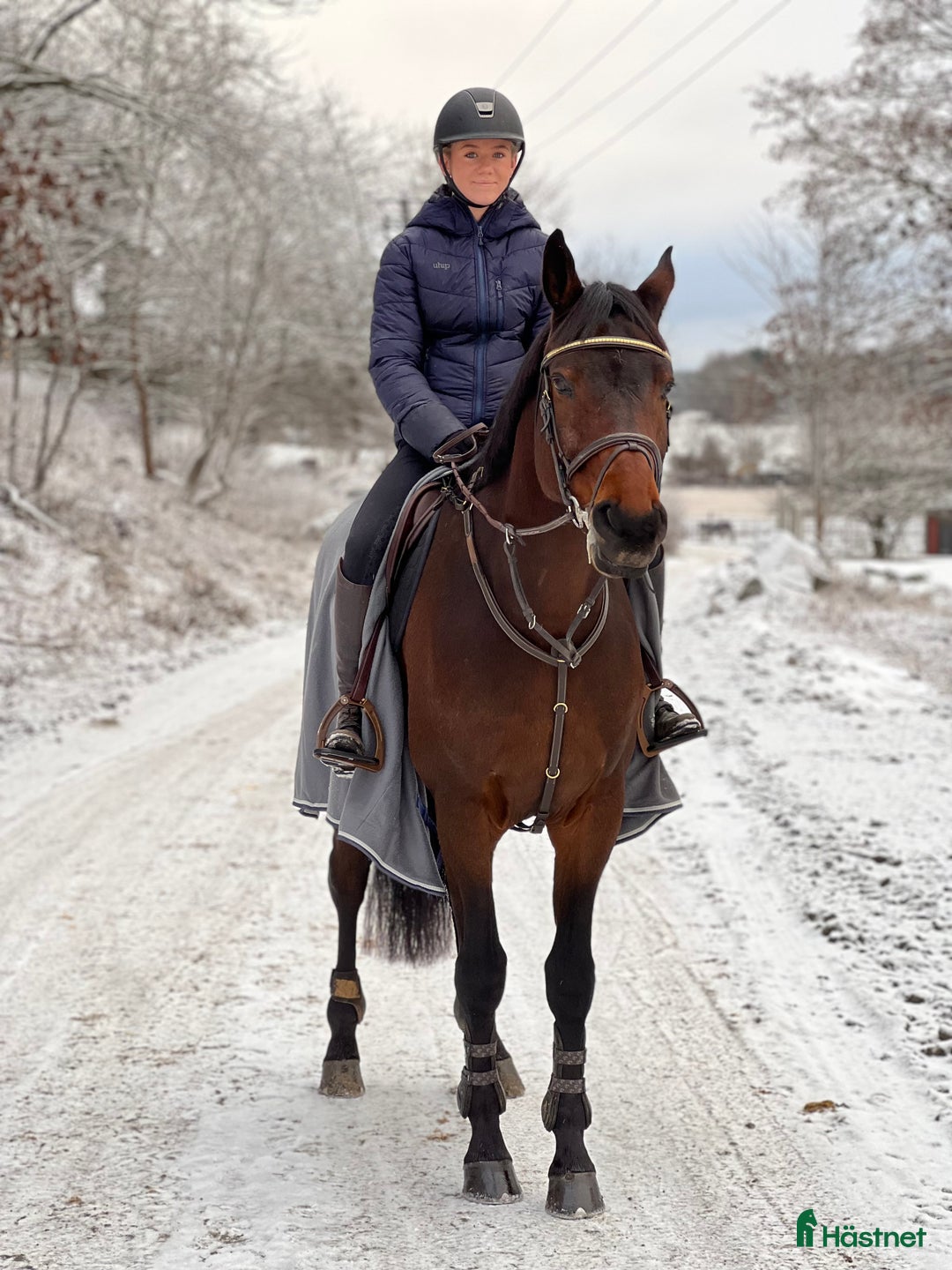 Hoppning hästar till salu: SWB- valack med hjärta av guld i Våxtorp - Annons 6