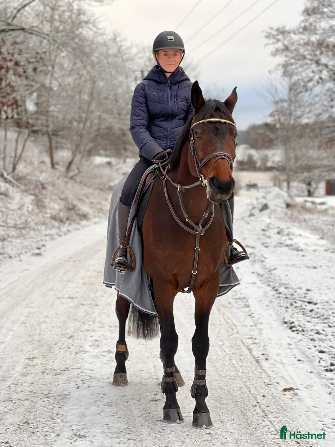 Hoppning hästar till salu: SWB- valack med hjärta av guld i Våxtorp - Annons 6