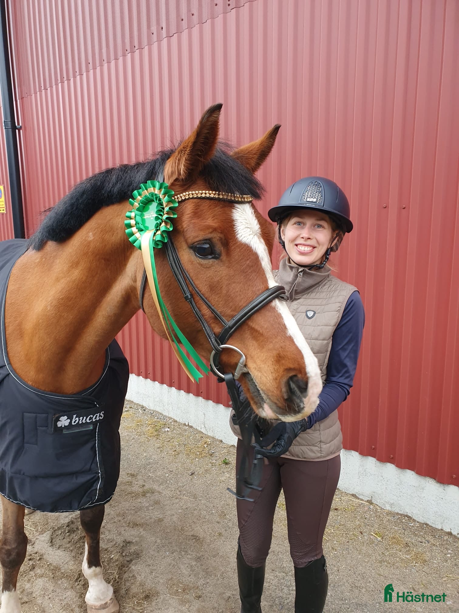  hästar Söt tjej tll lättare ridning/sällskap - Annons 16