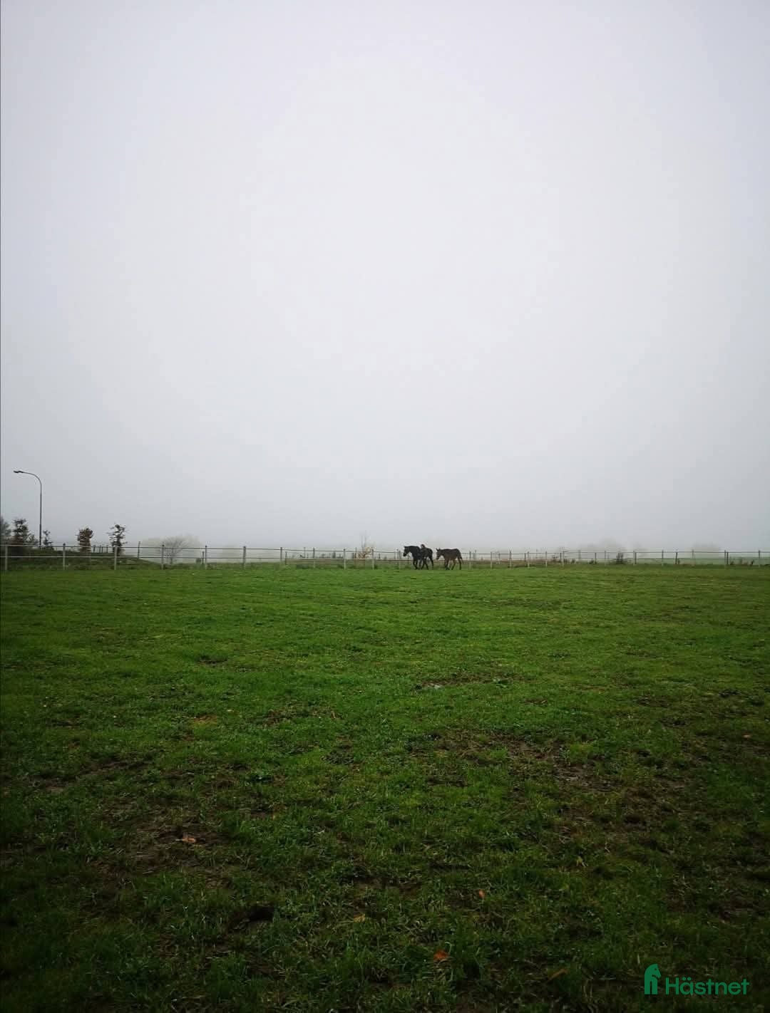  stallplats finnes: Lösdrift  i Skurup - Annons 4