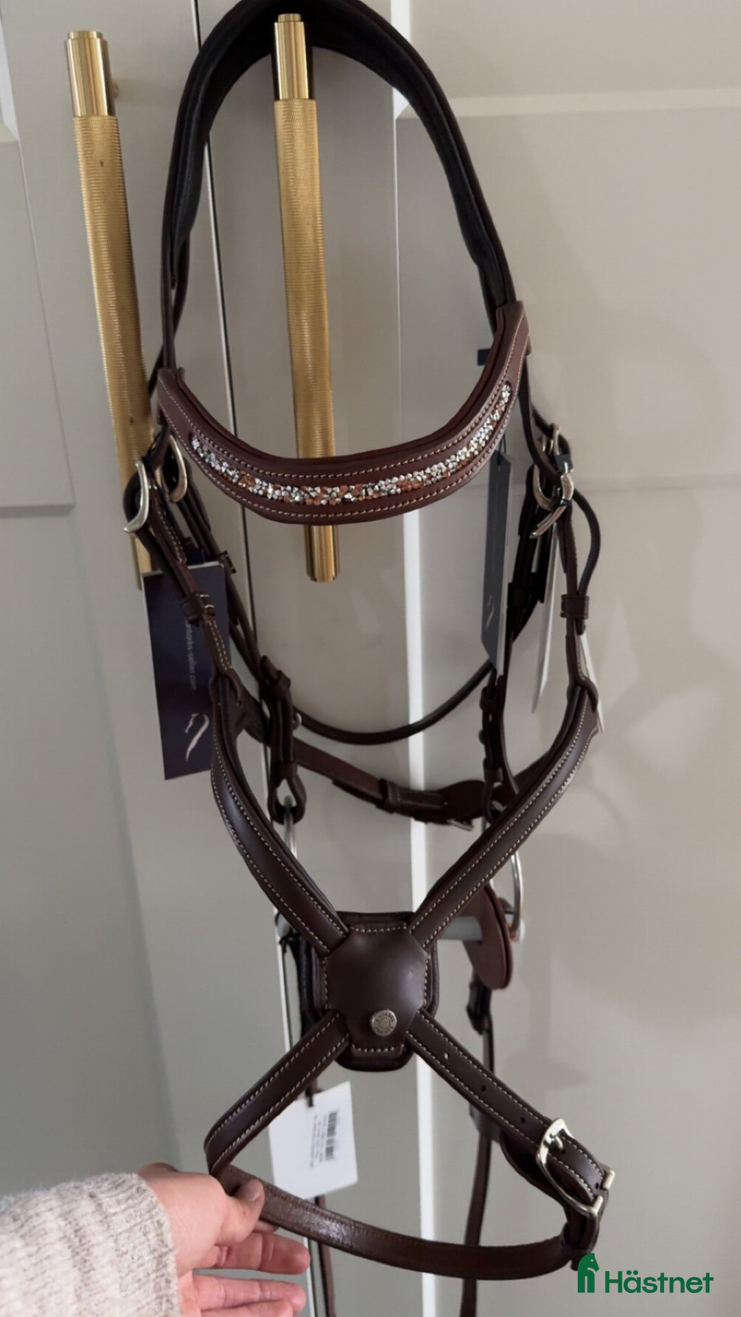 Träns hästutrustning till salu: Antares träns till salu! i Västerhaninge - Annons 3