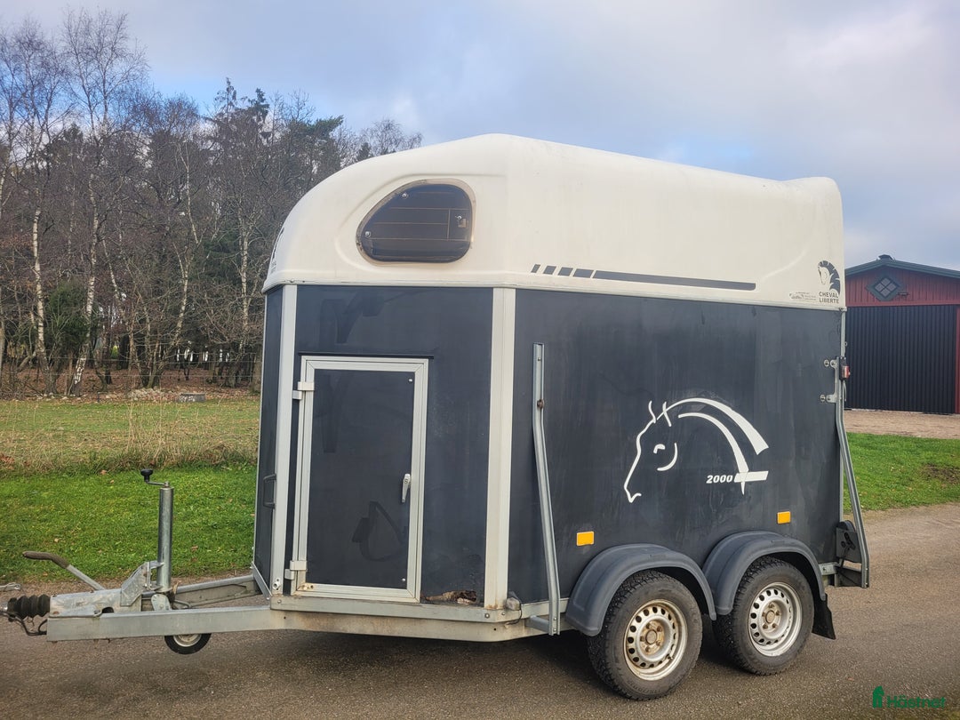 Hästtransporter  fordon & transport till salu: Hästtransport med lem och dörr baktill i Slöinge - Annons 6