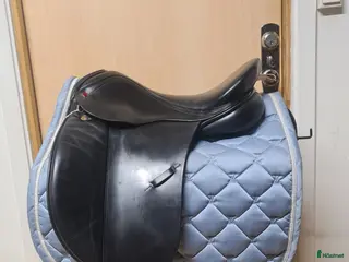 Sadlar hästutrustning Albion Legend K2 i Hamneda - Annons 18