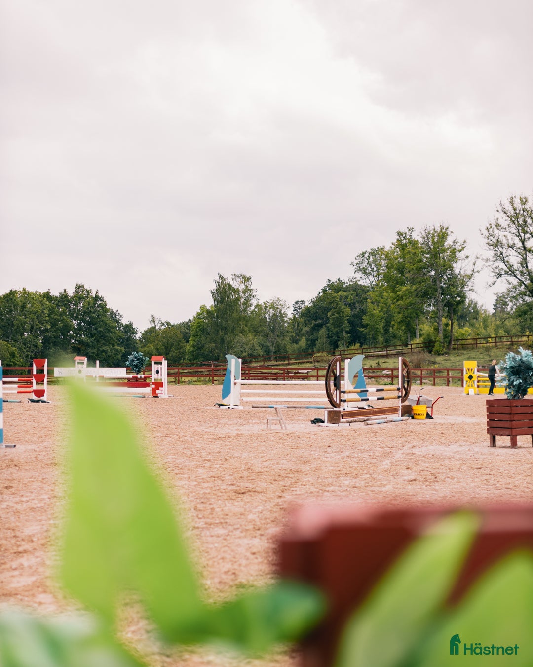  stallplats finnes: Drömläge för dig med mindre hästverksamhet⭐ i Linköping - Bild 6