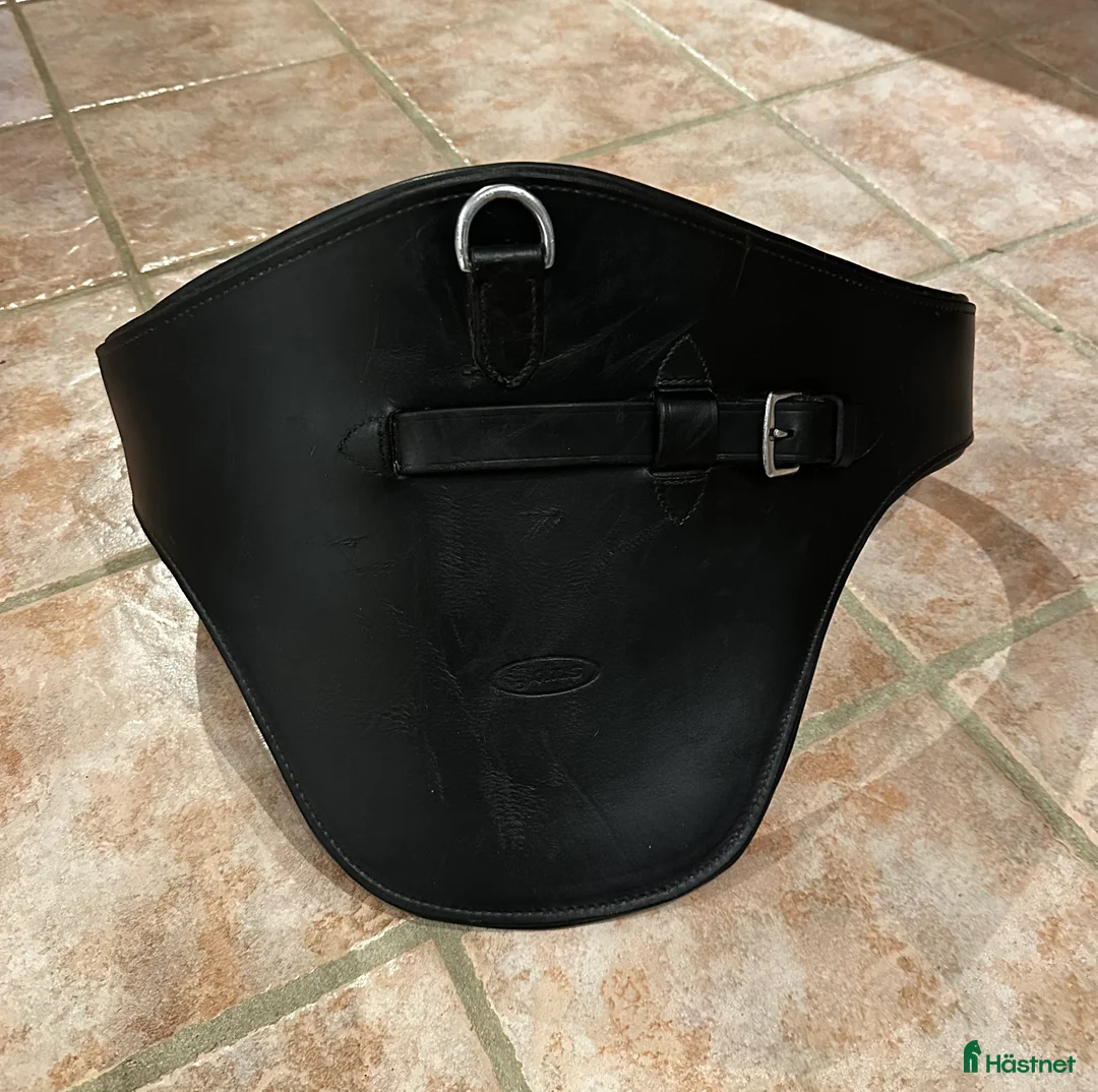 Sadeltillbehör hästutrustning till salu: Svart Magplatta  - Annons 2