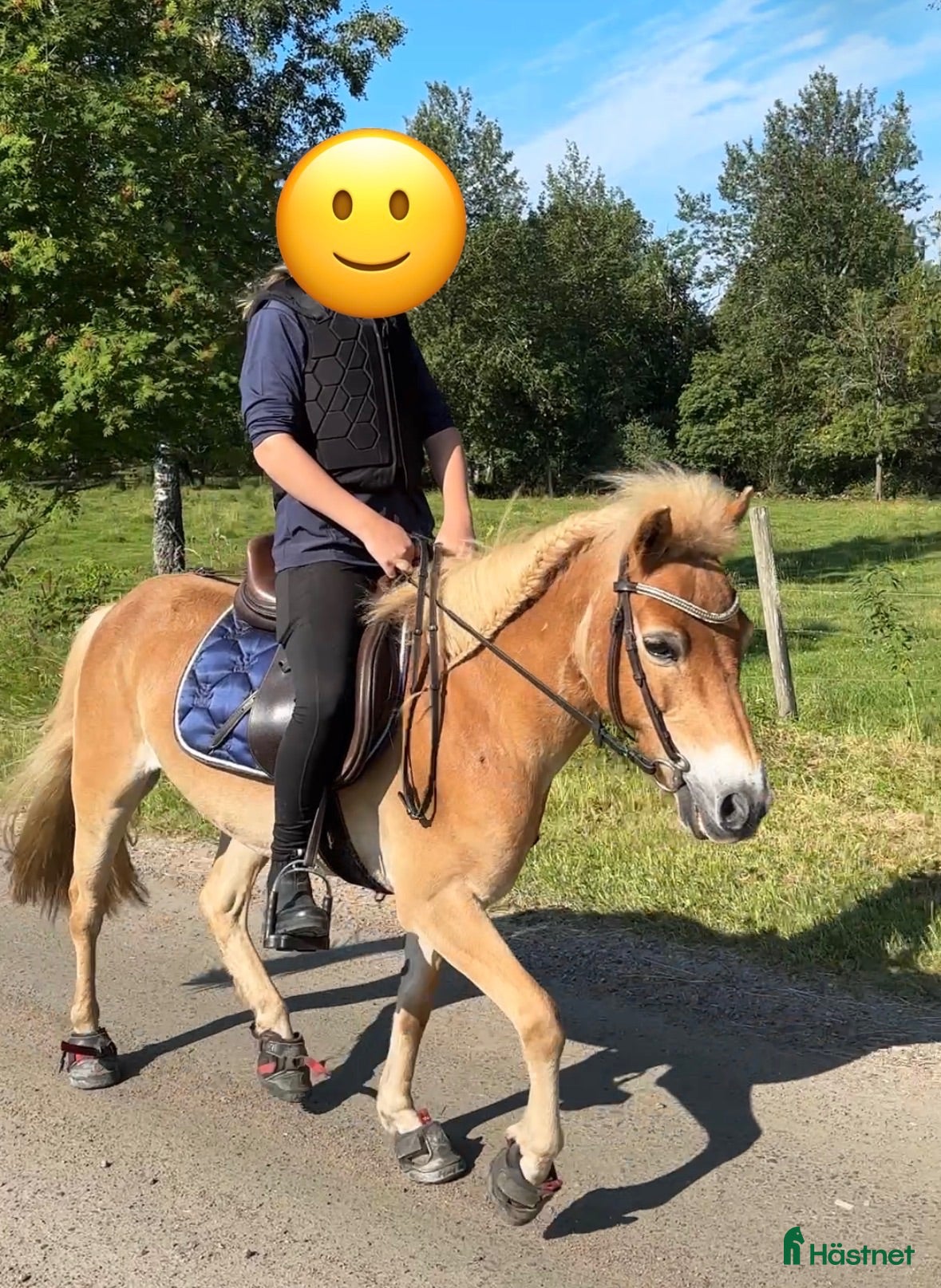  hästar Härligt russ ❤️ - Annons 18