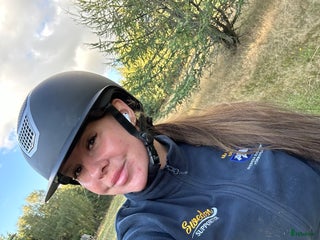 foderhäst Söker en foderhäst med intresse för köp senare i Sjöbo - Annons 10