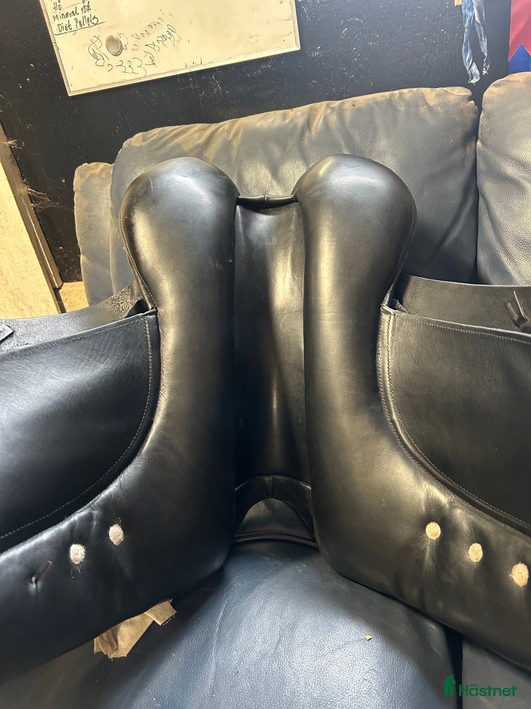 Sadlar hästutrustning till salu: Albion Dressyr Sadel i Frillesås - Annons 9