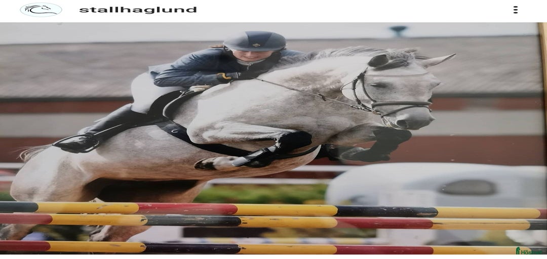 Galleribild {{count}}