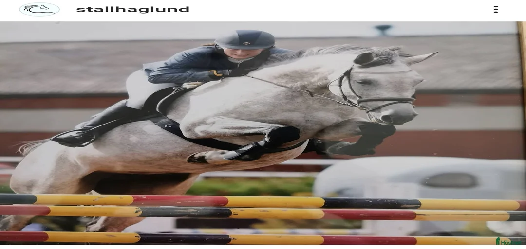 Galleribild {{count}}