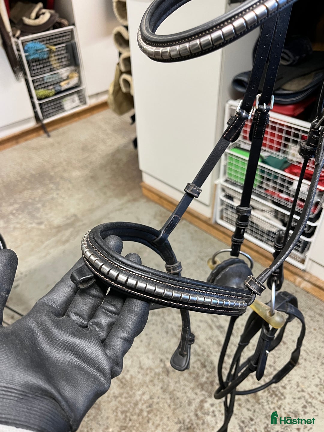 Träns hästutrustning till salu: Ps träns modell Antwerpen  i Växjö - Annons 2