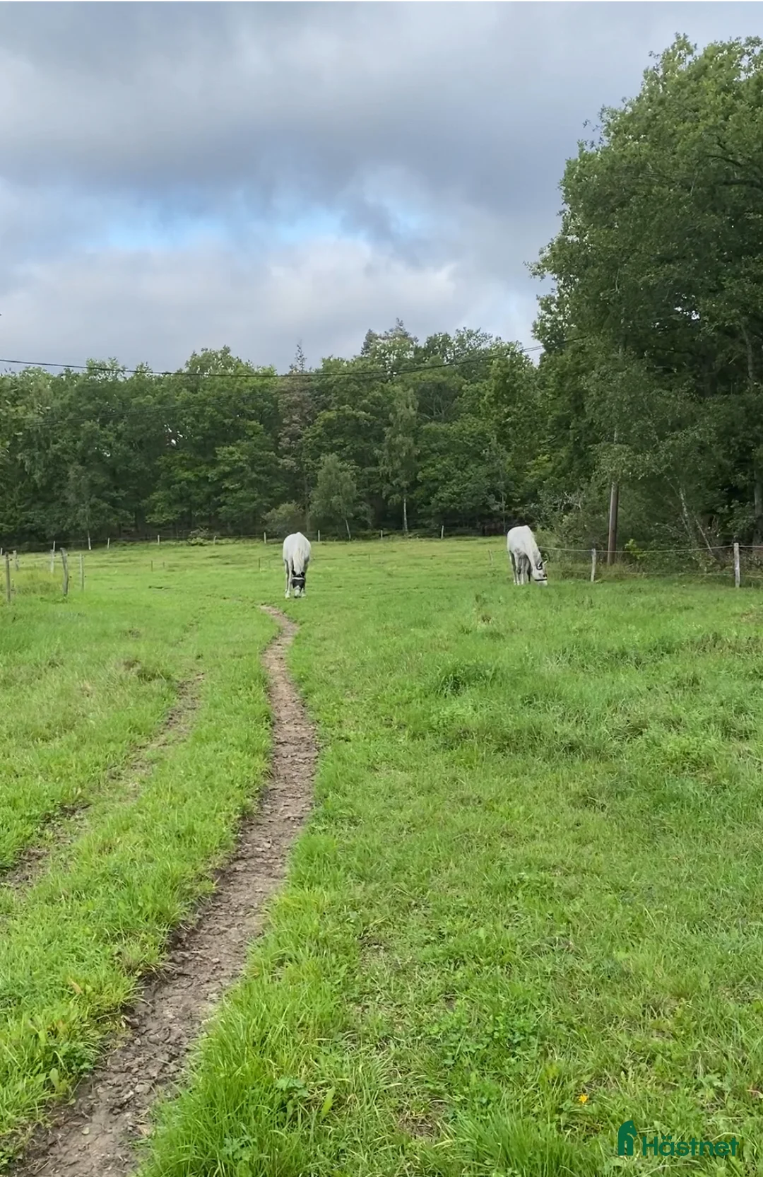  stallplats finnes: Stall med ridhus i Balingsta Huddinge! i Huddinge - Annons 3