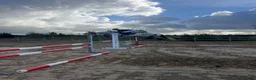 Hoppning hästar till salu: Positivt SWB-sto med stor utvecklingspotential  i Laholm - Annons 3