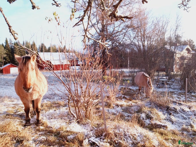 Galleribild {{count}}