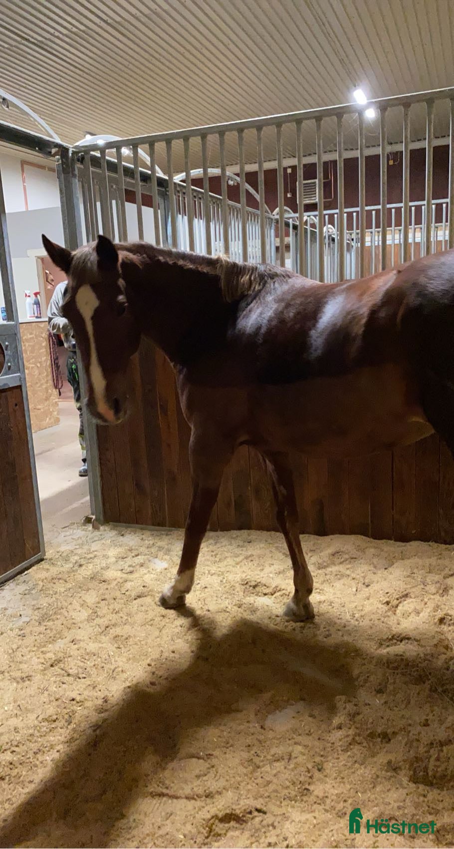  stallplats Privat Stallplats på Lantbruk  - Annons 1