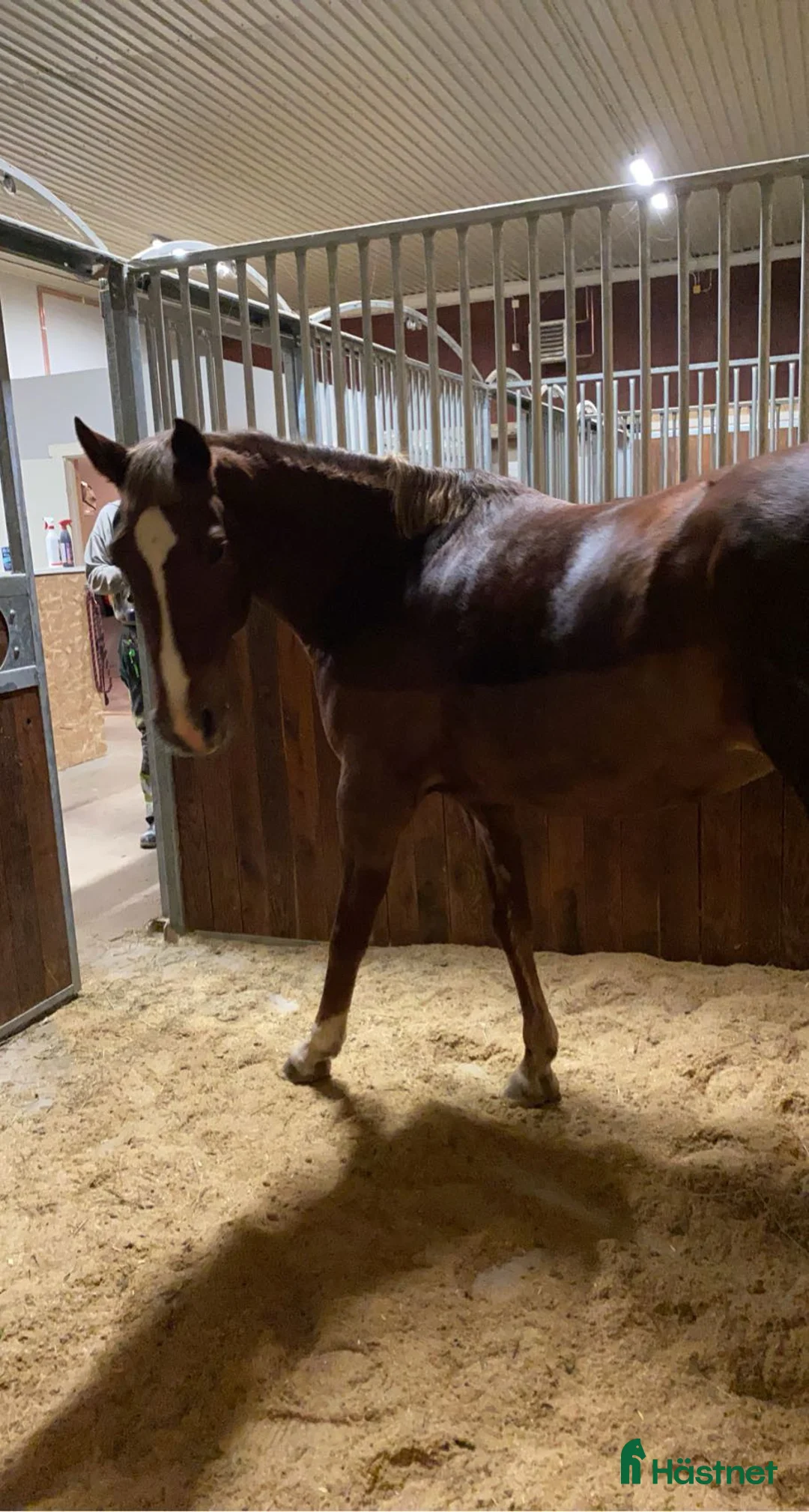  stallplats finnes: Privat Stallplats på Lantbruk  - Annons 1