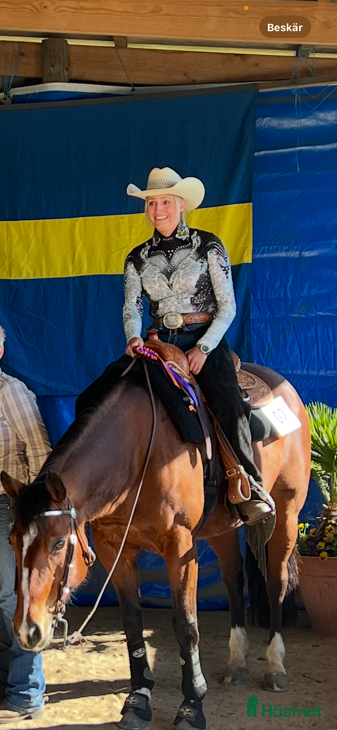 Allround hästar till salu: Quarter sto- 12 i Källby - Bild 4