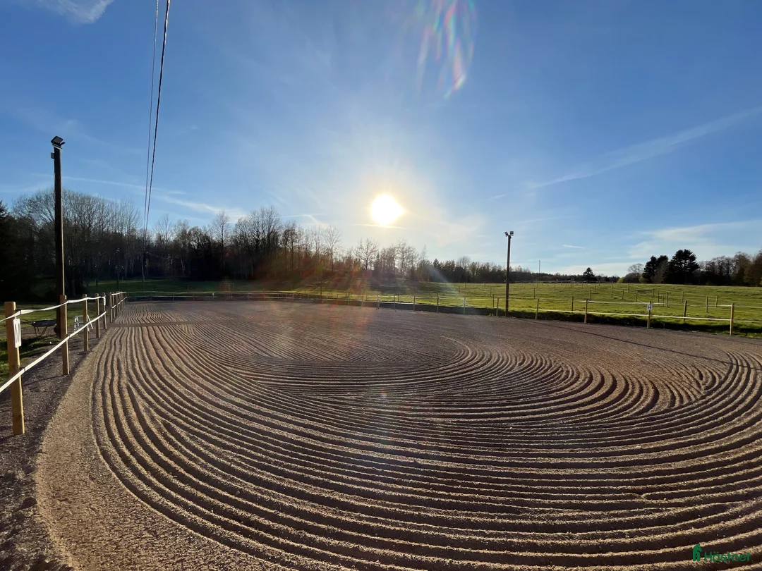  stallplats finnes: Stallplats för inackordering, Norrköping-Åby i Åby - Annons 3