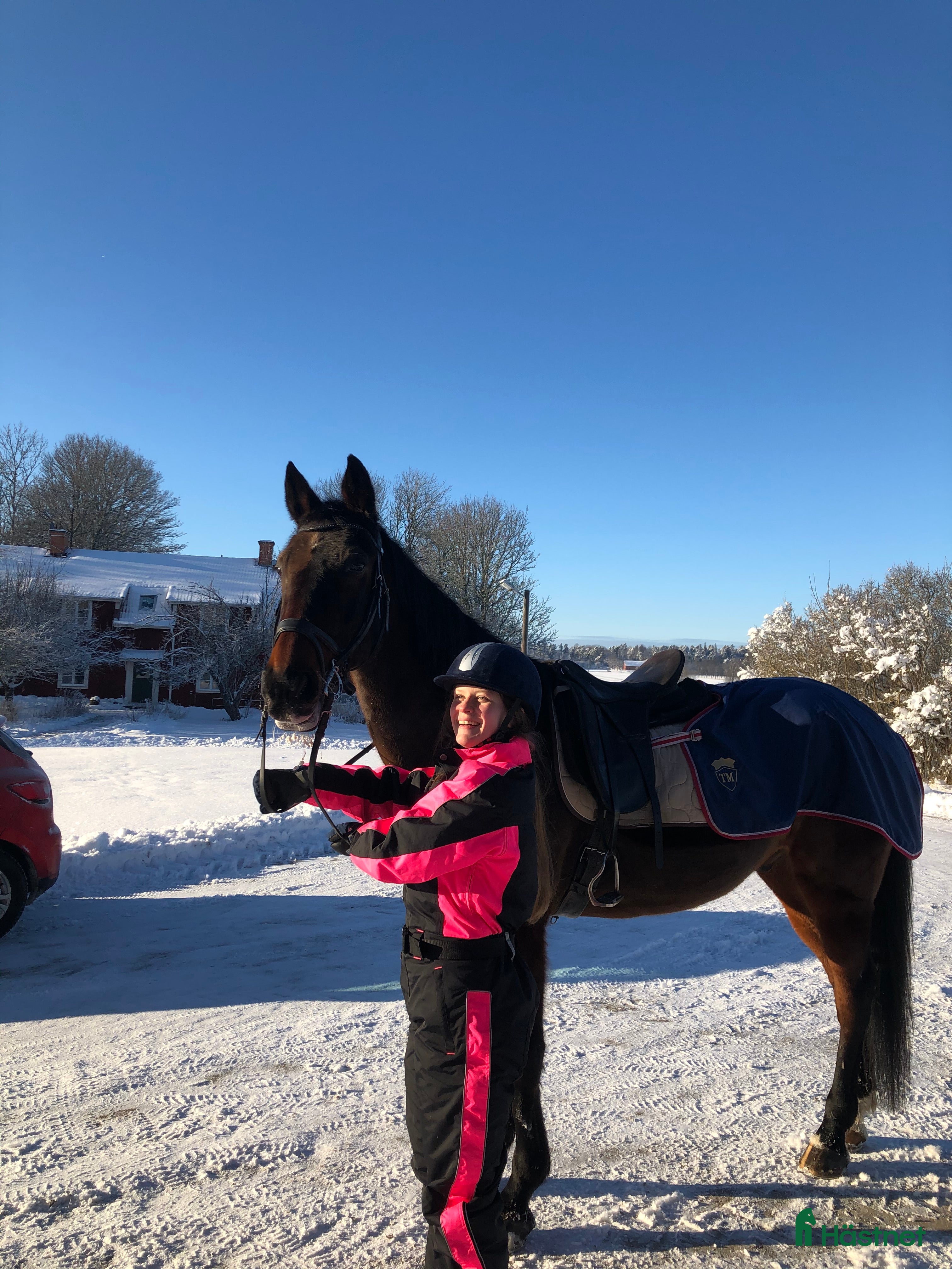  medryttarhäst sökes: Medryttarhäst sökes i Västerås i Västerås - Annons 20