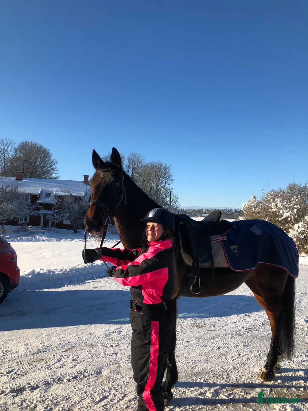  medryttarhäst sökes: Medryttarhäst sökes i Västerås i Västerås - Annons 1