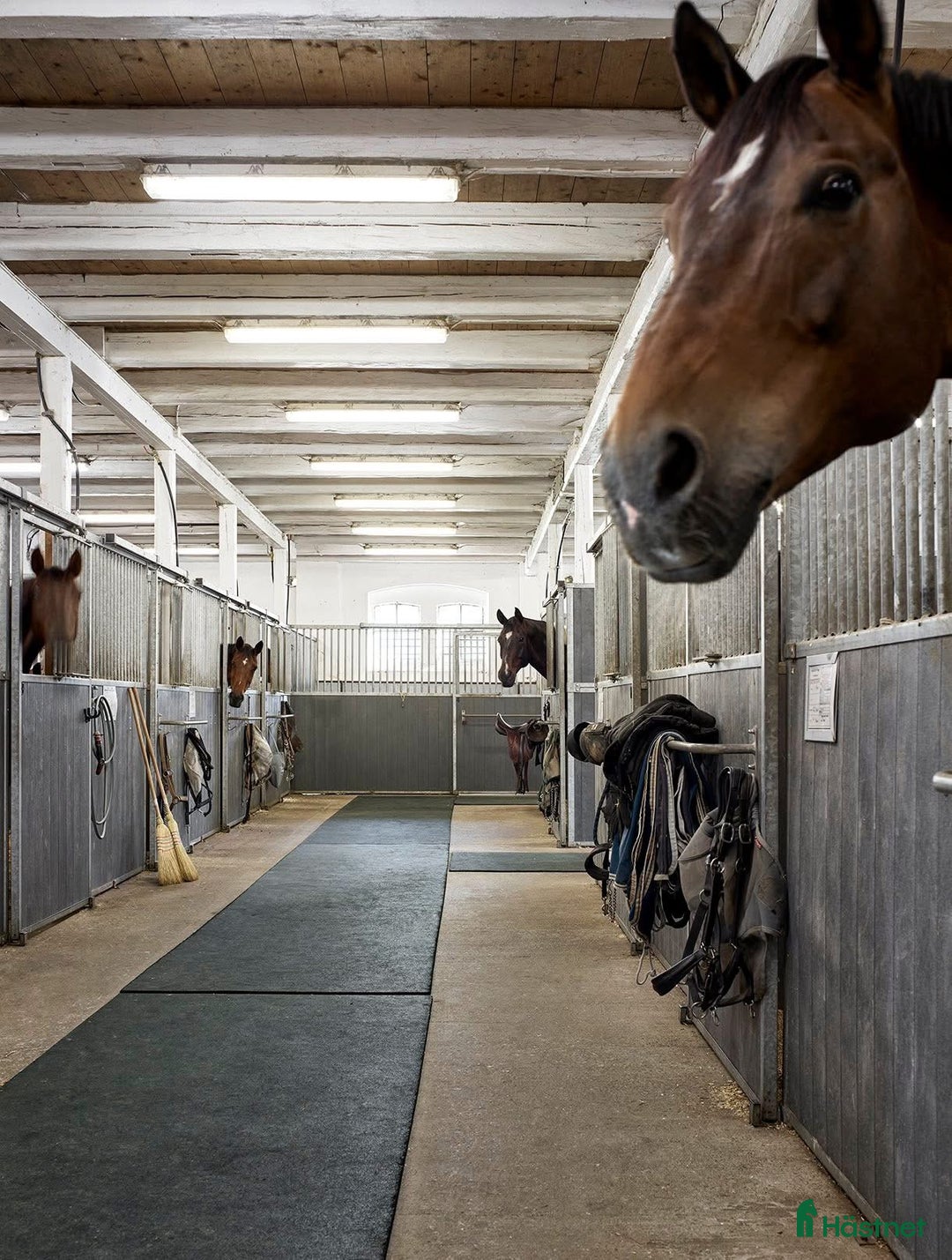  stallplats finnes: Boxplats i Påarp, Helsingborg i Påarp - Annons 1