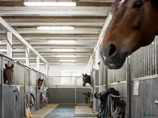 stallplats Boxplats i Påarp, Helsingborg i Påarp - Annons 4