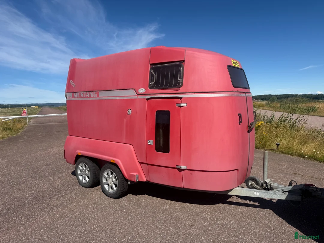 Hästtransporter  fordon & transport till salu: Mustang Elit -09 - Bra skick - Annons 1
