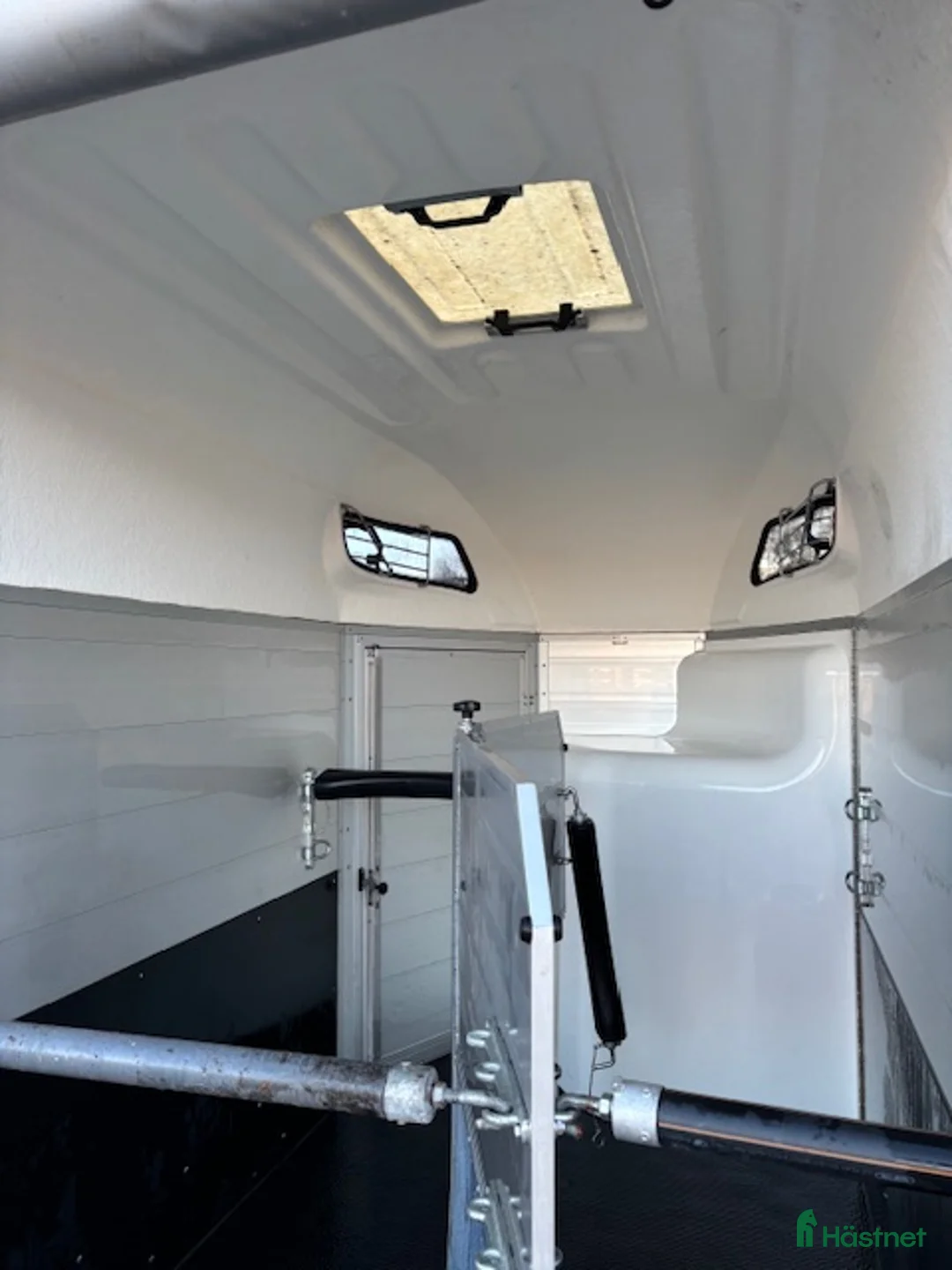 Hästtransporter  fordon & transport till salu: Nyinkommen Sirius S77-2021 - Annons 2