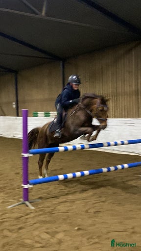 Galleribild {{count}}