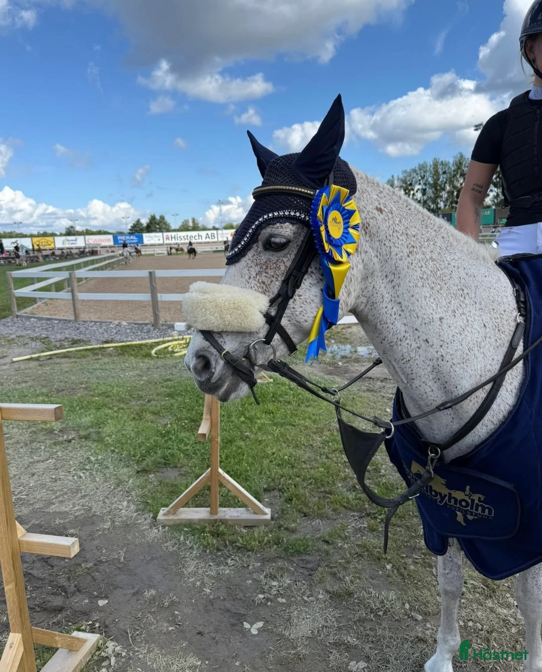 Allround hästar till salu: Fin C ponny!  i Tungelsta - Annons 6