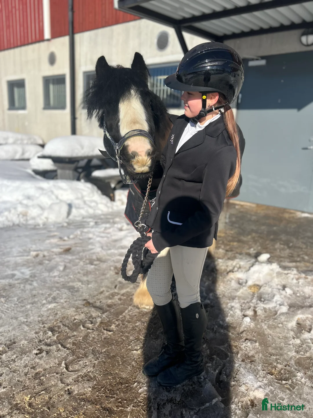 Galleribild {{count}}