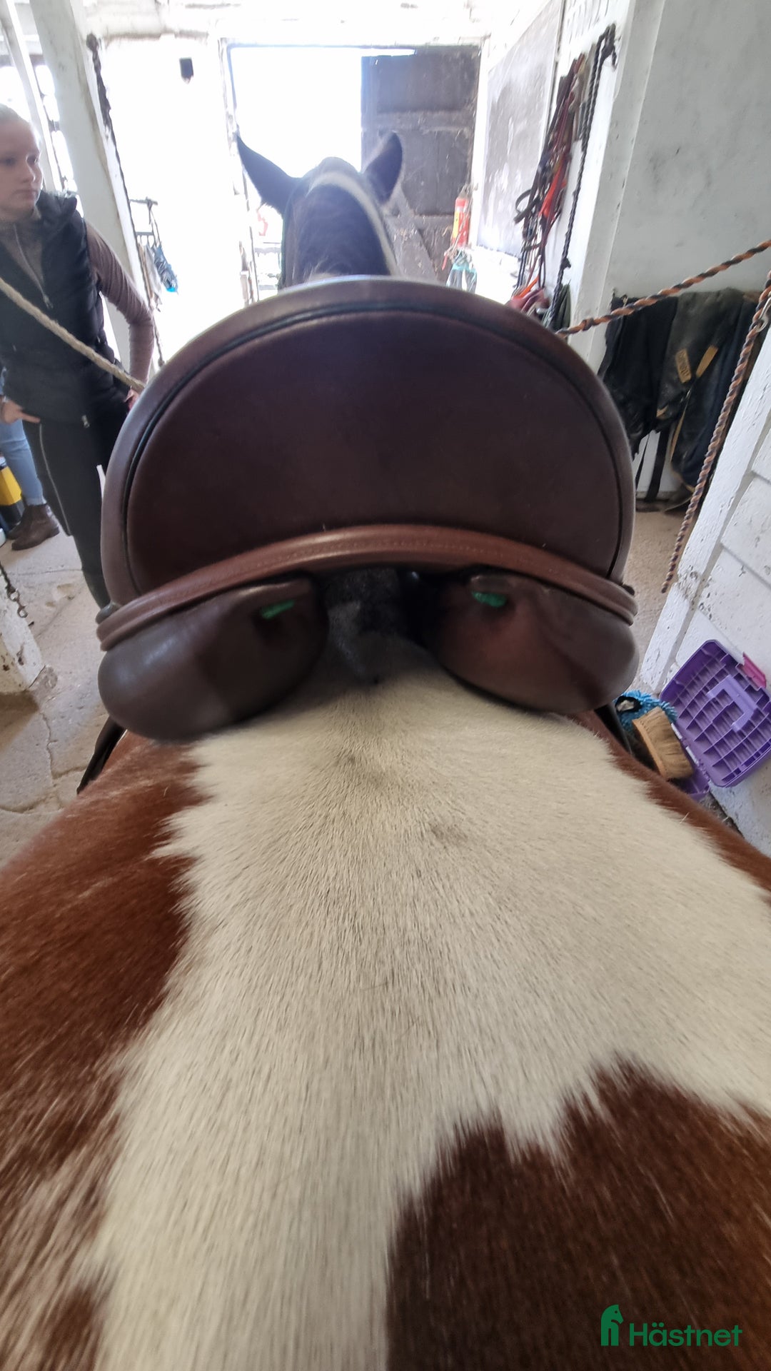 Sadlar hästutrustning till salu: Prestige Vega 16" i Eskilstuna - Annons 6