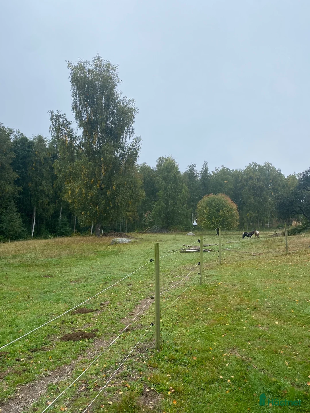  stallplats finnes: Stallplats i Åmål - Annons 2