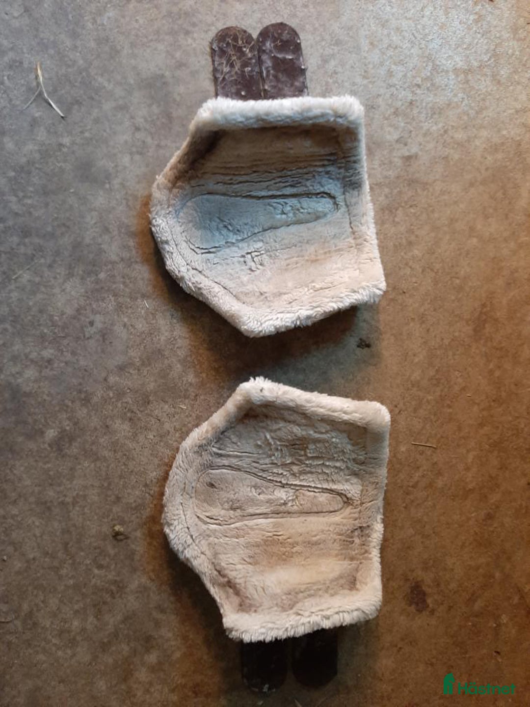 Benskydd hästutrustning till salu: Billiga damasker! i Flyinge - Annons 2