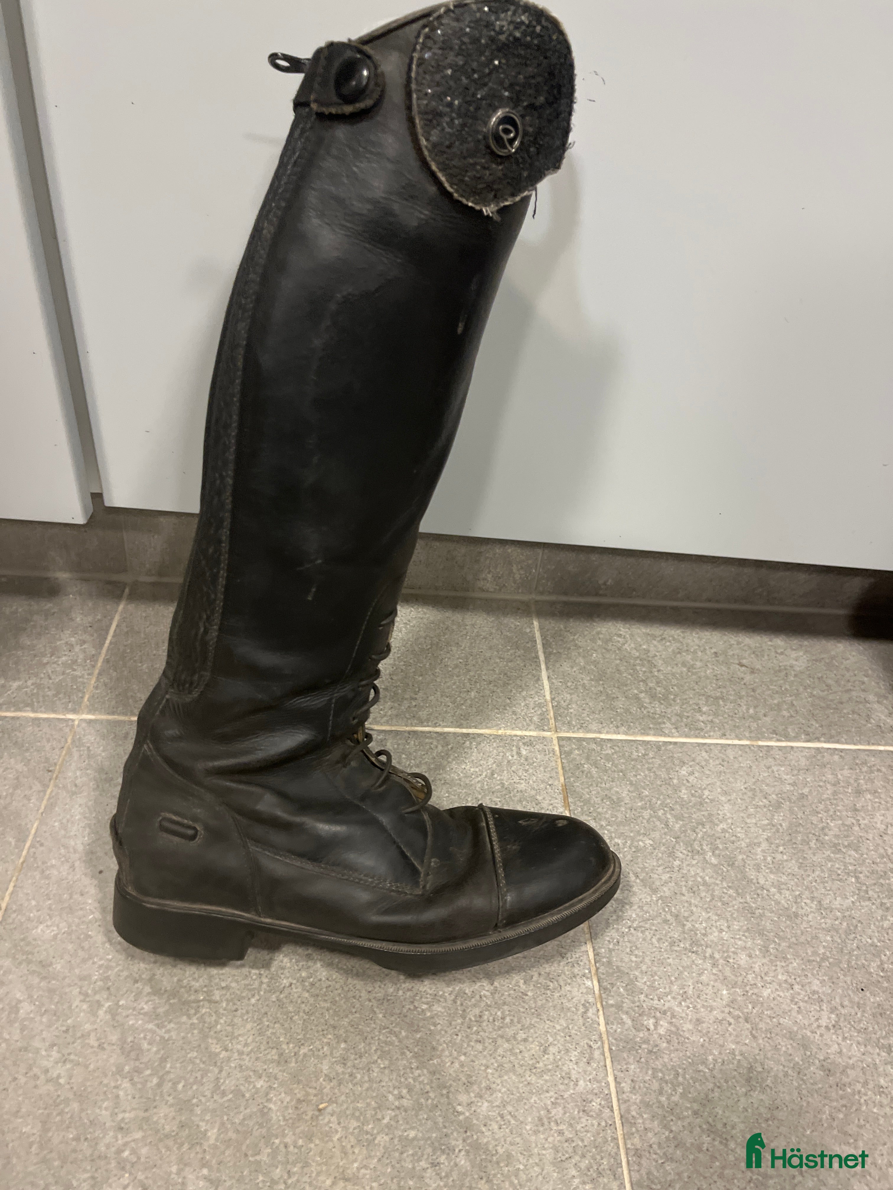 Ridstövlar ryttarutrustning till salu: Romy sto 36 N - Annons 2