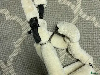 Övrig Hästutrustning hästutrustning till salu: Fluff grimma🤍 i Klagstorp - Annons 1