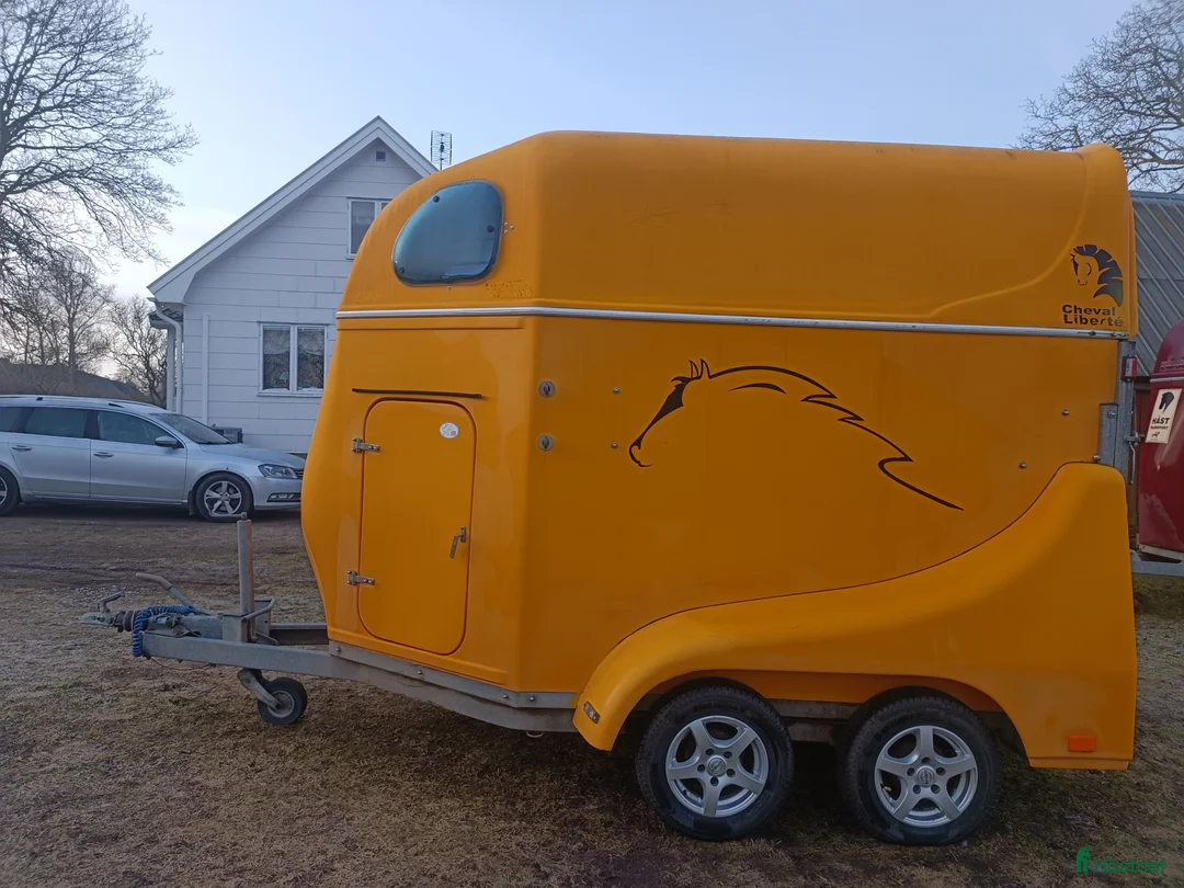 Hästtransporter  fordon & transport till salu: Cheval liberte  - Annons 2