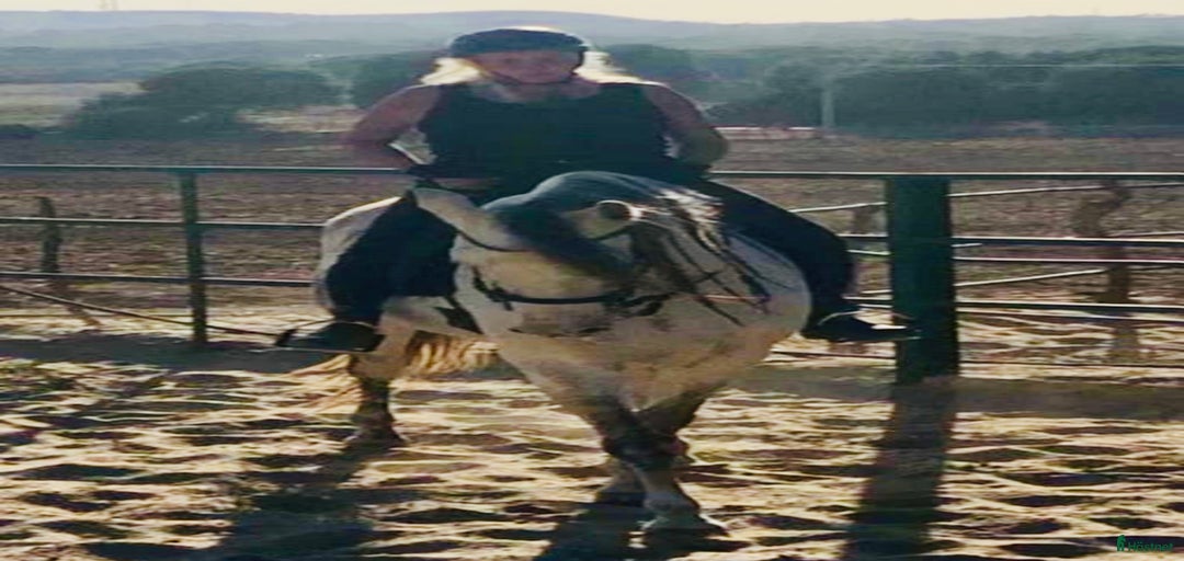 Galleribild {{count}}