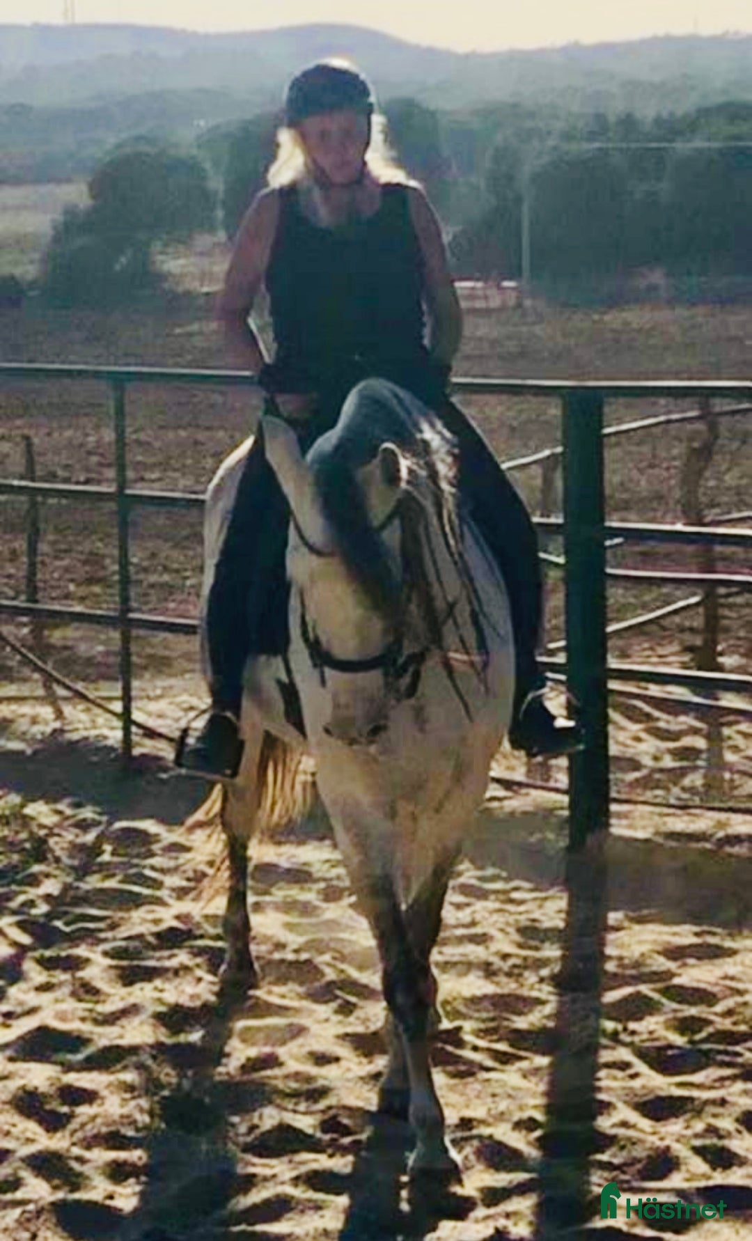 Galleribild {{count}}