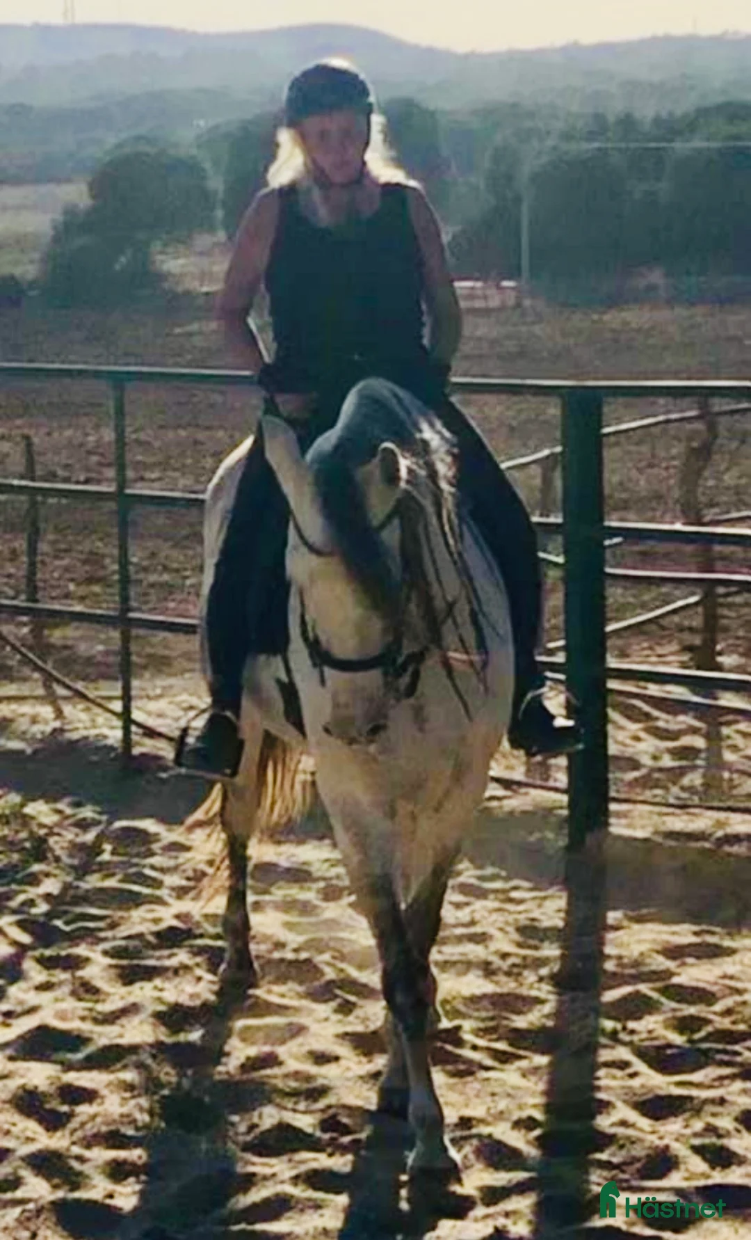 Galleribild {{count}}