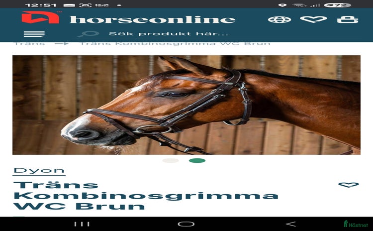 Träns hästutrustning till salu i Hackås - Annons 4