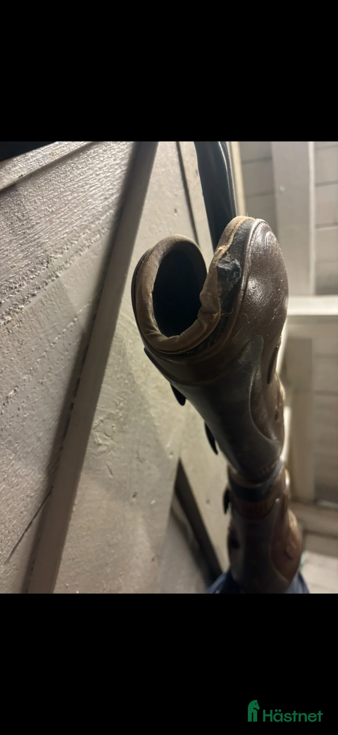 Benskydd hästutrustning till salu: Veredus framskydd - Annons 4