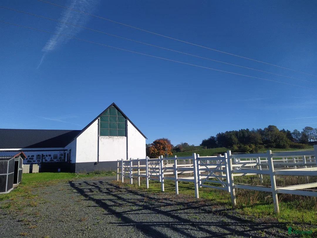  stallplats finnes: Hästboxar att hyra på en fantastisk tomt.  i Tomelilla - Annons 5