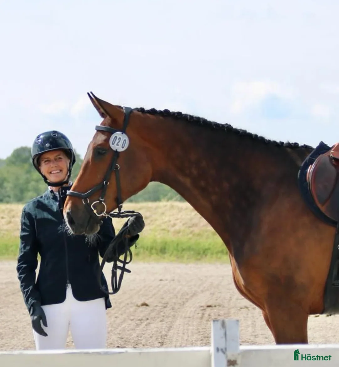 Galleribild {{count}}