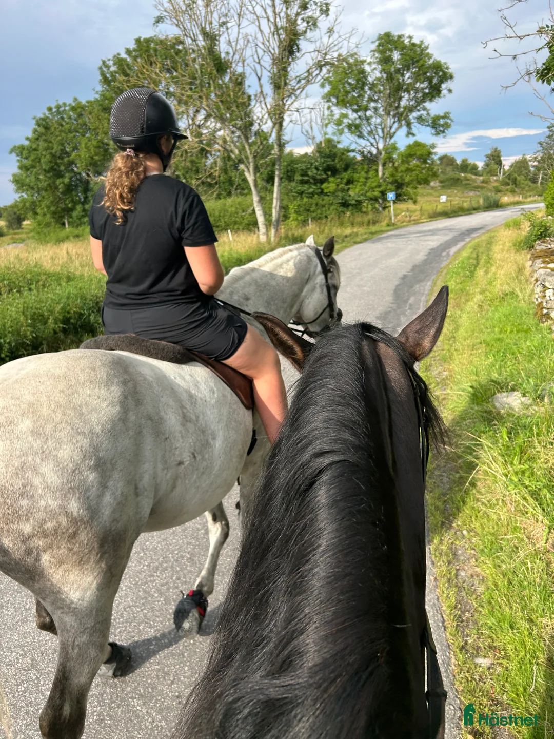 Galleribild {{count}}