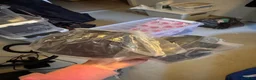 Benskydd hästutrustning till salu: Nya gummiboots - Annons 2