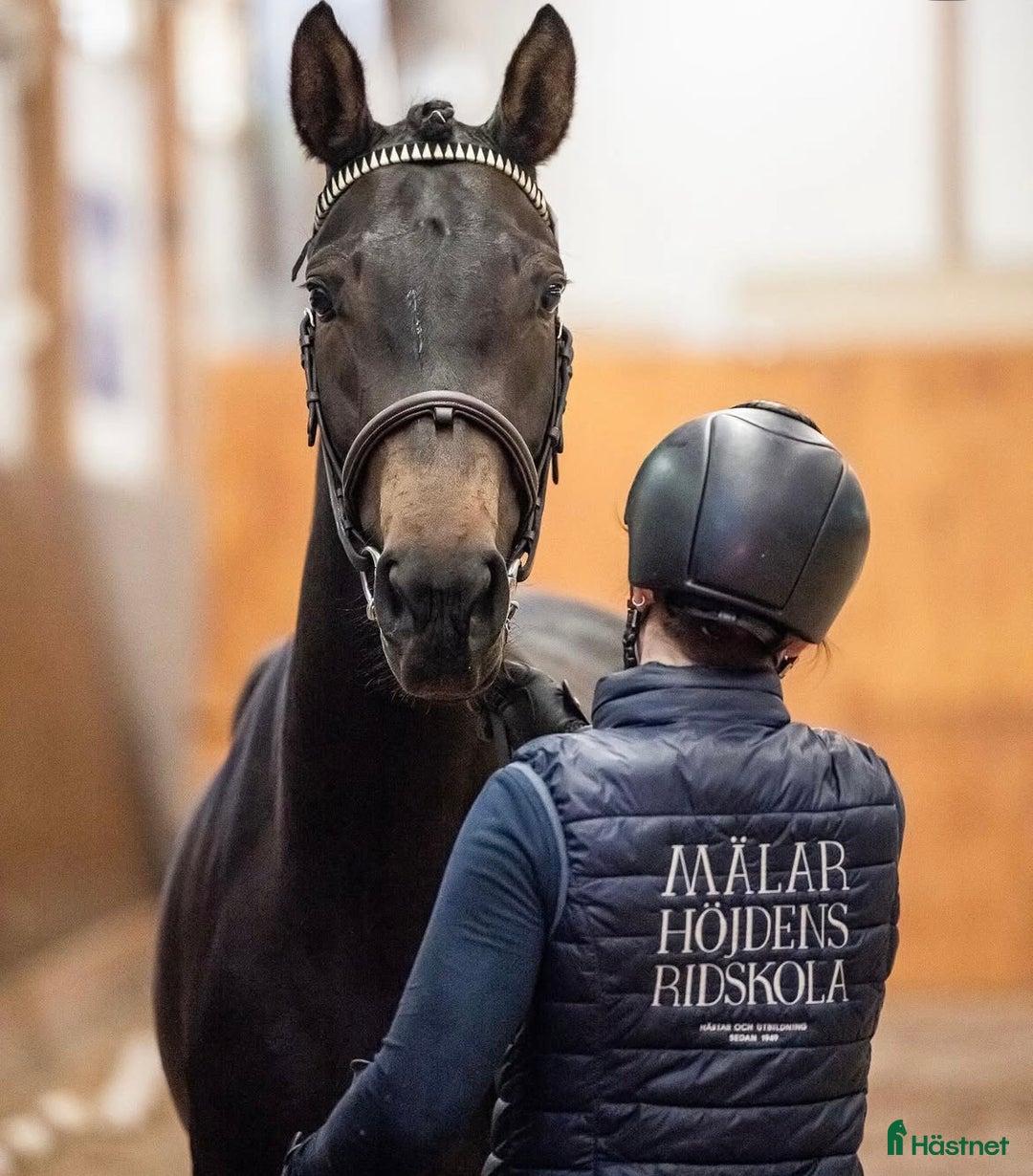  hästservice finnes: Utbildning och träning av häst i Skärholmen - Bild 7
